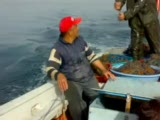 Zonguldak Kilimli Kalkan Avı