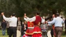 Kemaneci Rıfat - Ayva Çiçek Açmış