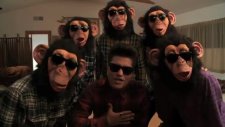 Bruno Mars - The Lazy Song