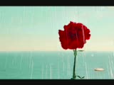 Metin Arolat - Kabul Et Biz Ayrıldık Metin Arolat - Kabul Et Biz Ayrıldık