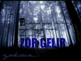 Yeşil Ördek Gibi