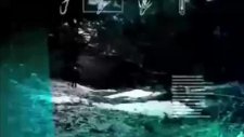 Doğada Tek Başına Bölüm 12