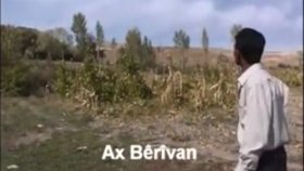Dilbirin Memo - Berivan Dilbirin Memo - Berivan