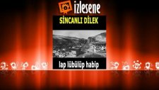 Sincanlı Dilek - Karanfilim Baharım