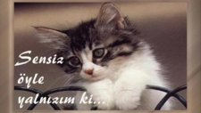Cesaretin Varmı Aşk'a