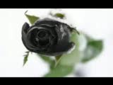 dj ates cgs ft mustafa & oguz - gurur part 2