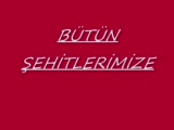 Şehitlerimize Saygılarla