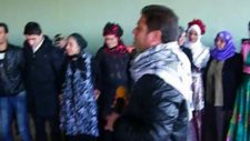 Koma Kervan Hilvan Atlı Ailesi Düğünü