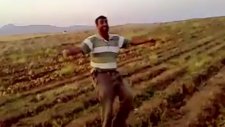 Tıklanma Rekoru Kıran Video Ocağın Batmasın Patates