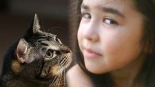kedi özledi seni elif atilla video