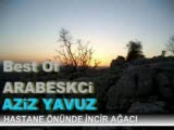 aziz yavuz hastane önünde incir ağacı damar arabes