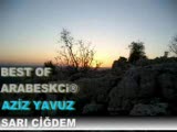 aziz yavuz sarı ciğdem damar arabesk uzun hava boz