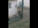 Kastamonu Araç Bahçecik