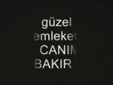 D.bakır