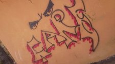 Çare Salak Adam