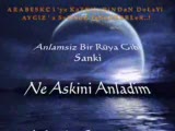 Al Aşkını Cal Başına Nefretimsin Gereğin Yok Damar