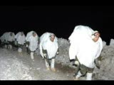 Zap Suyu Şiiri