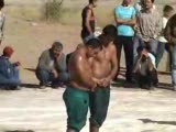 yenifakili güreş şenlikleri