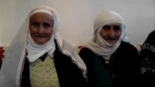 Neneler Süper Oynuyor Mehmet Ali Arslan Videos