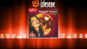 Seyyal Taner - Ayrılık Şarkısı Seyyal Taner - Ayrılık Şarkısı