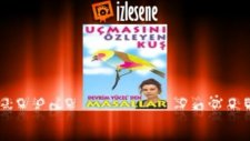 Can Polat Yücel - Caniko