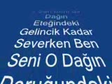 Gece55