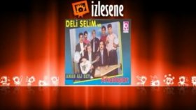 Deli Selim - Üfleye Üfleye Mum Söndü Deli Selim - Üfleye Üfleye Mum Söndü