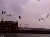Eminönü Kadıköy Arası