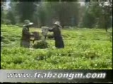 Trabzon İntroduction Film-Russian-Trabzongm.com
