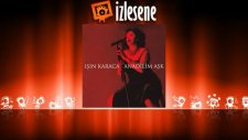 Işın Karaca - Aramıza Yollar