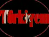 Remix Bülent Serttas - Ne Mutlu Türküm Diyene