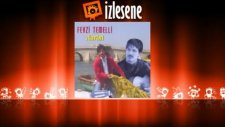Fevzi Temelli - Sakl