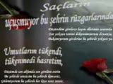 Bu Sana Son Sözüm Elveda