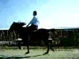 rahvan