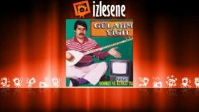 Gül Ahmet Yiğit - Meyrik Gül Ahmet Yiğit - Meyrik