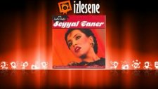 Seyyal Taner - Elalem Ne Der