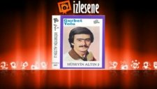 Hüseyin Altın - Olmaz Olsun Böyle Hayat