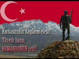 Bordo Bereli