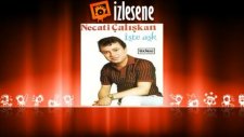 Necati Çalışkan - Ben Ağacın Dalları