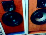 250rms Anfi