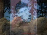serkan çağrı klarnet taksim