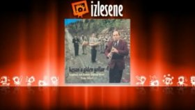Selim Sesler - Düğün Havaları Selim Sesler - Düğün Havaları