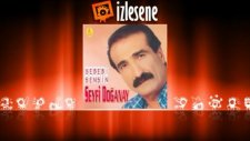 Seyfi Doğanay - İçtim