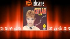 Ceylan Avcı - Hamamcı Teyze