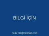 007 Mnvgt Halik