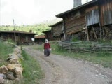 aze-(zülfikar)oy gelin gelin(akşam olur karanlığa