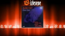 Audio Fact - Dillirga