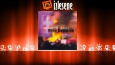 Grup Özgürlük - Onların Sesi