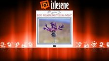 Ruhi Su - Yarim Derdini Ver Bana