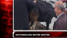 Uluköy